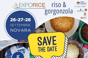 Save the Date Exporice2025